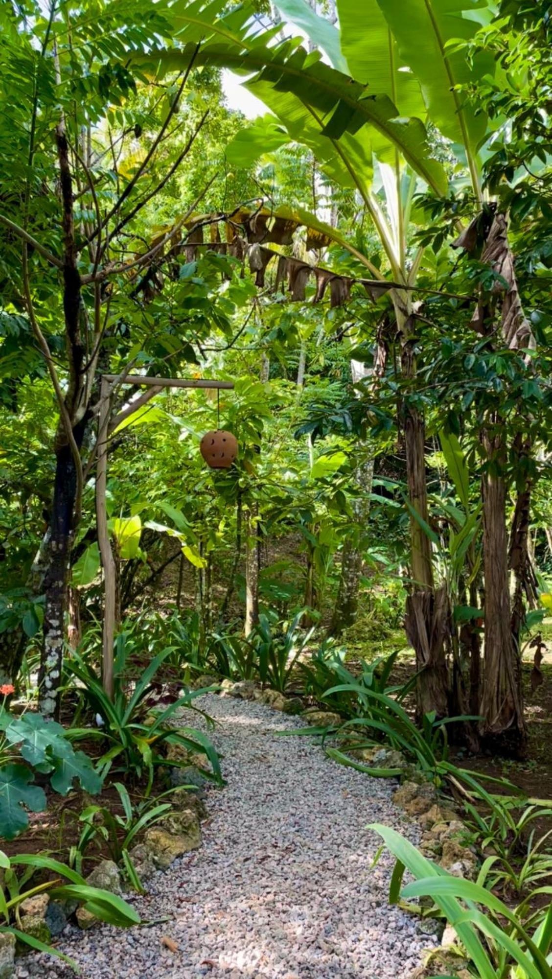 Rancho Romana Ecolodge Park V-01 El Limon Buitenkant foto