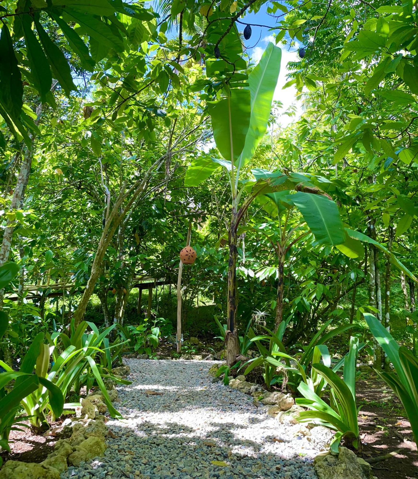Rancho Romana Ecolodge Park V-01 El Limon Buitenkant foto