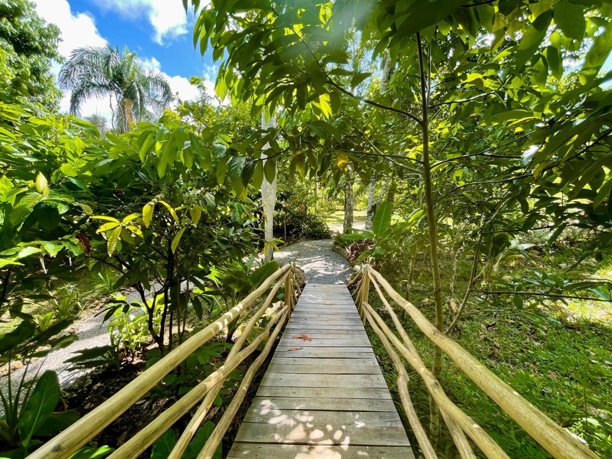 Rancho Romana Ecolodge Park V-01 El Limon Buitenkant foto