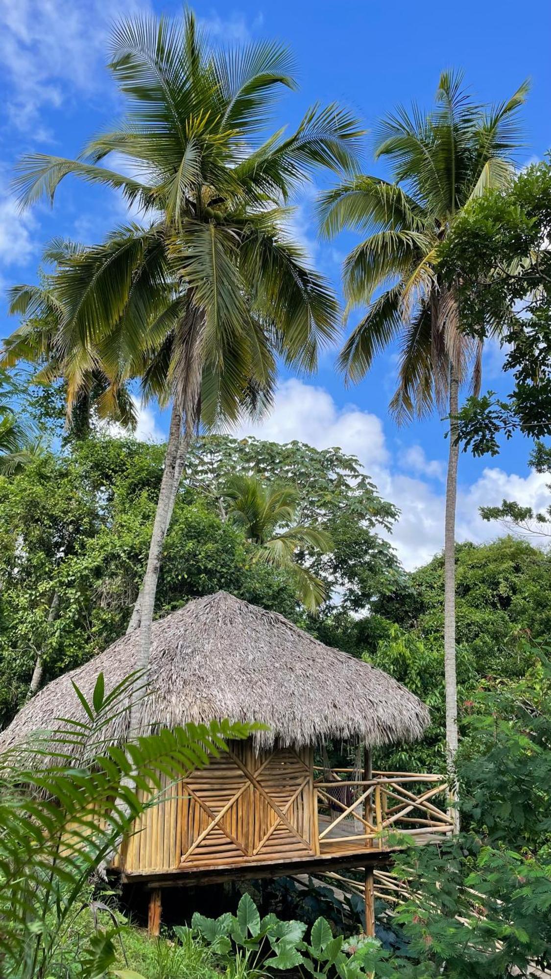 Rancho Romana Ecolodge Park V-01 El Limon Buitenkant foto
